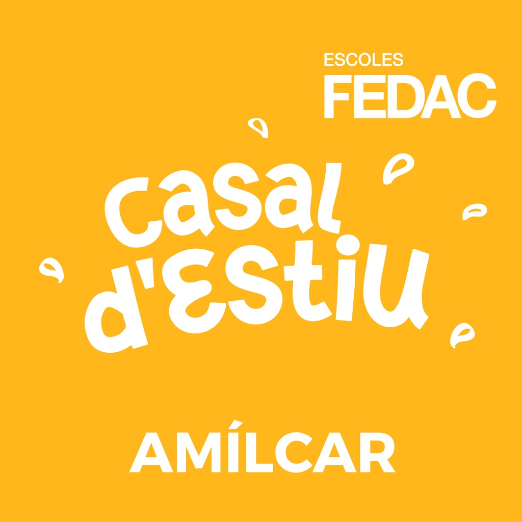 FEDAC Amílcar Casal d'estiu (I3 a P6)